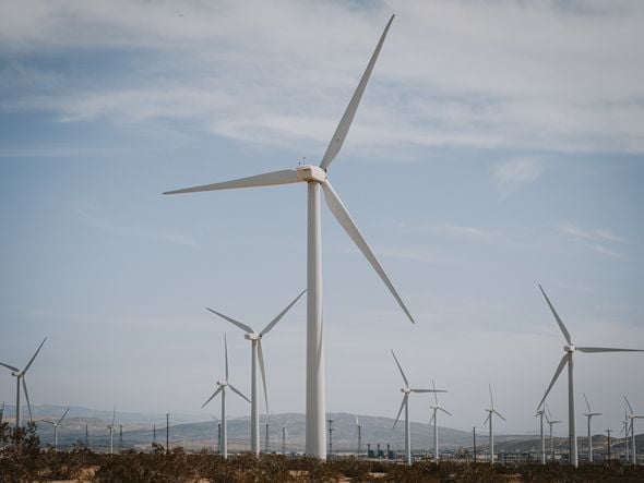 Imagem - Estudo aponta transição energética sem expandir exploração do petróleo