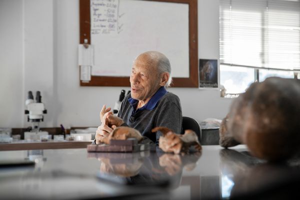 Professor Cástor Cartelle Guerra, responsável pela descoberta