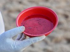 Imagem - Casos de dengue e chikungunya crescem e reforçam alerta para prevenção