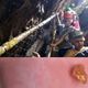 Imagem - Aluno de 12 anos encontra pepita de ouro durante excursão escolar