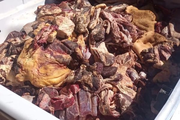 Carnes impróprias foram encontradas em frigoríferos da cidade