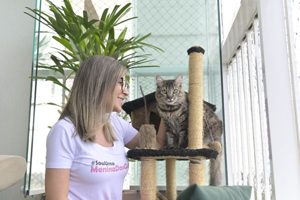 Dia internacional do Gato