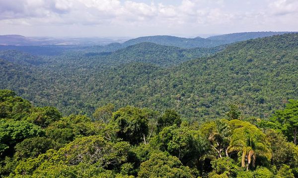 Amazônia
