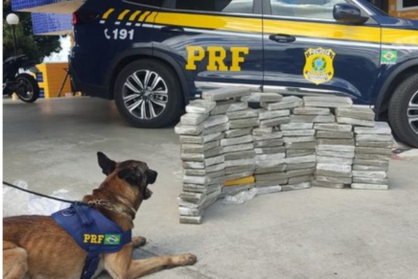 Cachorro ajudou agentes a localizar 89 kgs de drogas