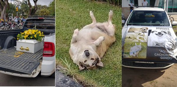 Despedida de Gordo teve direito a caixão e carro com homenagens