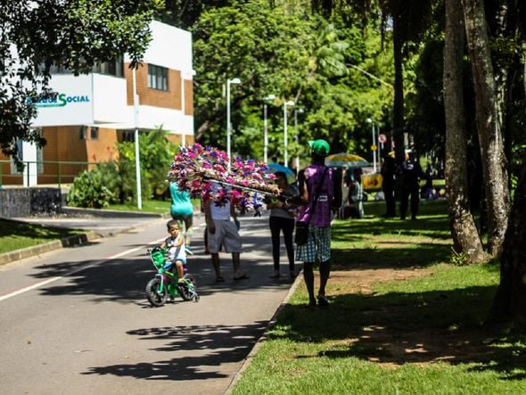 Imagem - Parque Social realiza mutirão de limpeza no Parque da Cidade neste sábado (21)