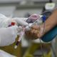 Imagem - Com estoque crítico, Hemoba detalha como doar sangue durante epidemia de dengue