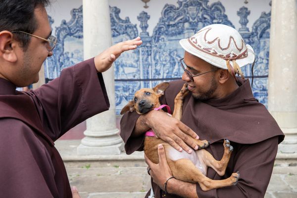 Cães serão abençoados em homenagem ao dia de São Francisco de Assis