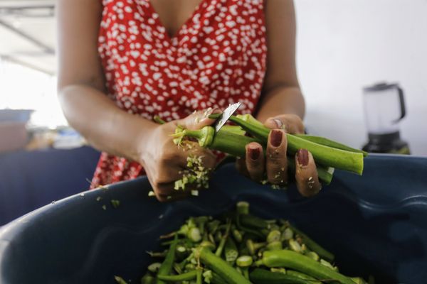 O quiabo, ingrediente do caruru, simboliza renascimento e continuidade