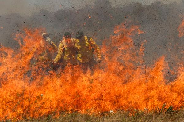 Incêndios florestais têm acontecido cada vez mais em divesas regiões do planeta