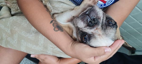 Cachorro estava sem alimento e sem água no local