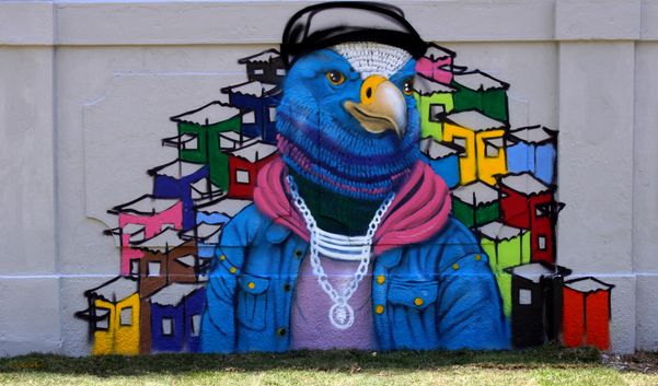 Exposição Muro, MAC Bahia 