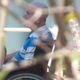Imagem - Em 20 anos de estatuto, pensão alimentícia para idosos não é comum
