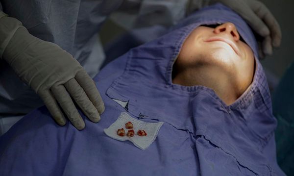Dentista em ação