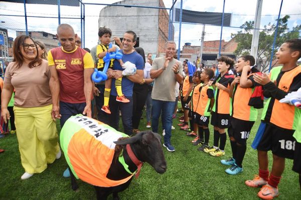Arena ficou lotada e a ovelha Isa explorou o novo campo