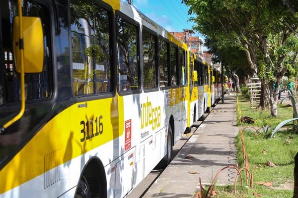 Linhas de ônibus sofrerão mudanças