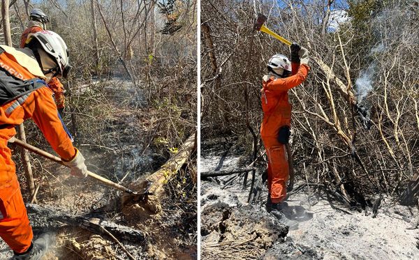 Bombeiros tentam controlar incêndio