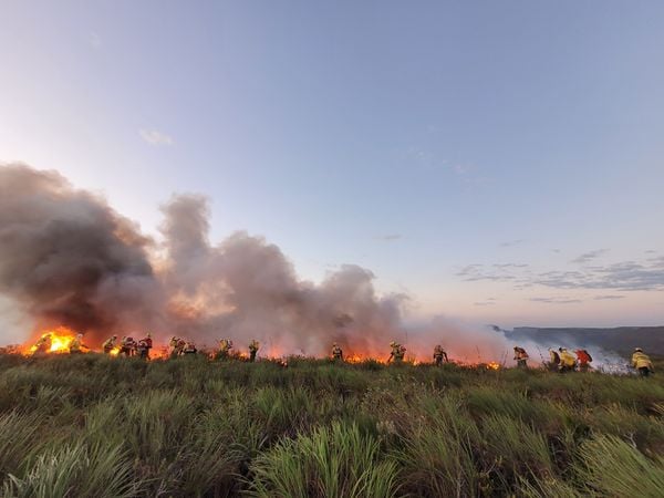 Incêndio na Serra do Candombá, na Chapada Diamantina