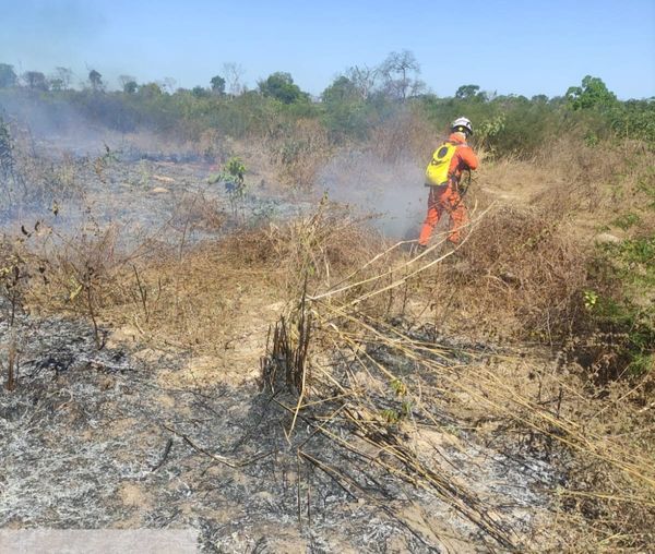 Incêndios florestais no interior da Bahia mobilizam mais de 220 bombeiros