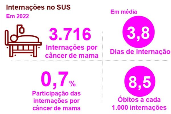 Em 2022, menos de 1% das internações de mulheres no SUS foram em decorrência desse tipo de neoplasia maligna