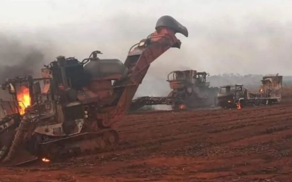 Incêndio destruiu 400 hectares em Goiás