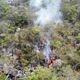 Imagem - Conheça a tecnologia de combate a incêndios florestais que já é usada na Bahia