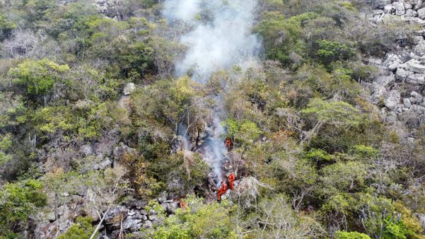 Bombeiros combatem incêndios florestais