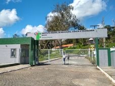 Imagem - IF Baiano anuncia 3,6 mil vagas em cursos técnicos gratuitos