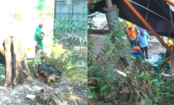 Funcionário sofre acidente na Avenida ACM