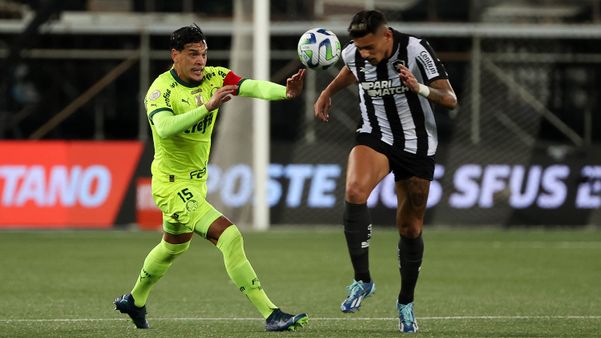 Virou final? Botafogo x Palmeiras ganha clima de decisão pelo título, brasileirão série a