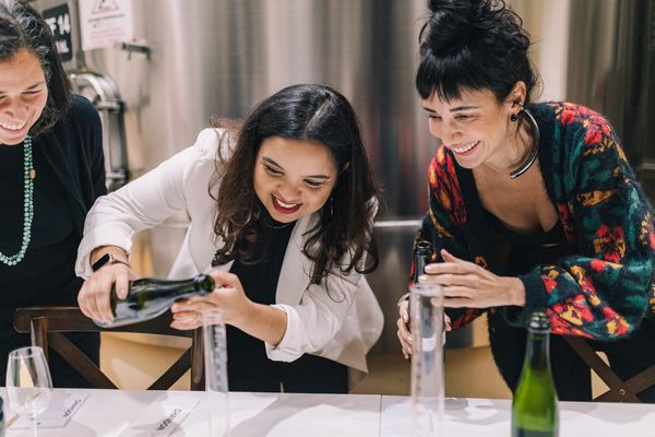 O vinho é um produto agroindustrial, o que significa que o produto está sujeito às variações climáticas por Juliano Palma/Divulgação