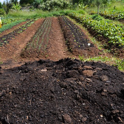 Imagem - Bahia lidera exportações do agro no Nordeste em janeiro