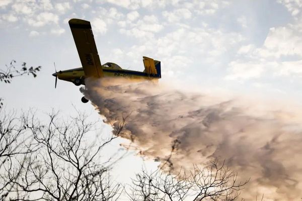Governo de MT poderá buscar apoio federal para reforçar as ações de combate ao fogo