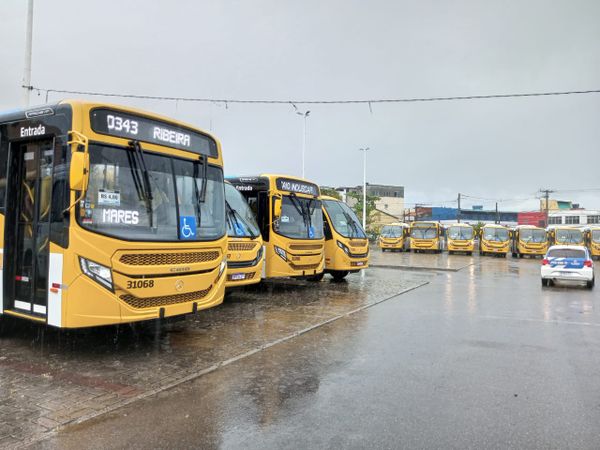 Ônibus estão retornando no Penacho Verde