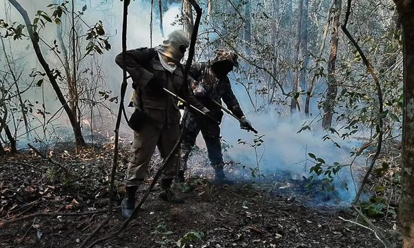 Incêndios atingem área do Pantanal