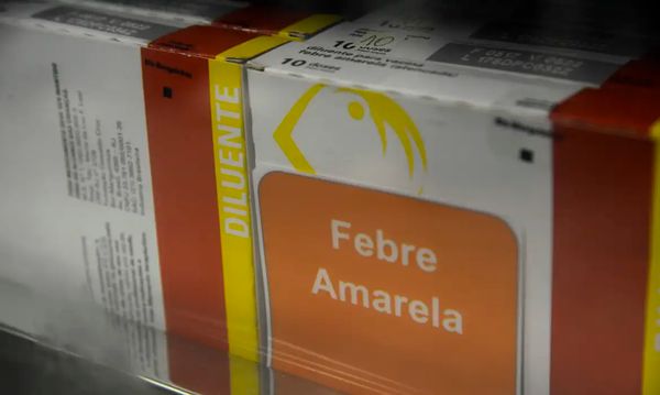 Febre amarela