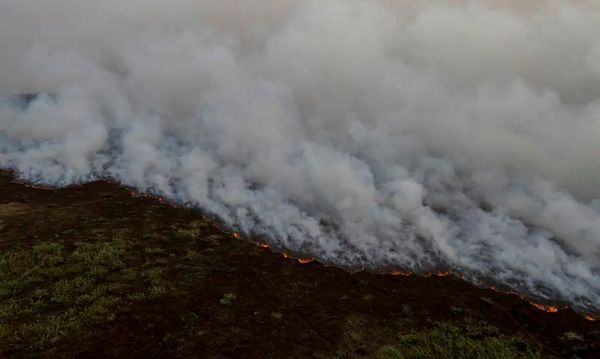 Incêndio no Pantanal