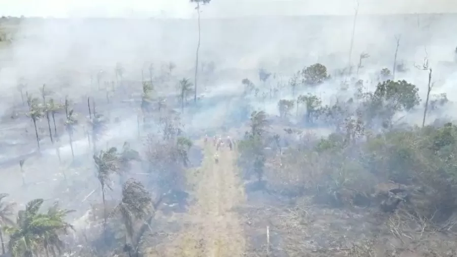Incendio destruye 200 hectáreas del Parque Nacional de Monte Pascoal