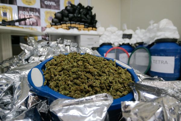 Cerca de 300 kg de drogas (entre maconha e um pó similar à cocaína) foram apreendidos