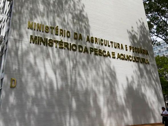Imagem - Ministério da Agricultura descarta novos casos de doença aviária no RS