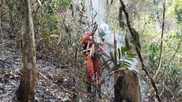 Bombeiros atuam em 16 cidades