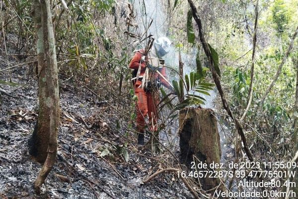 Bombeiros atuam no combate ao fogo 