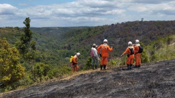 O trabalho faz parte da Operação Florestal, que teve início em julho