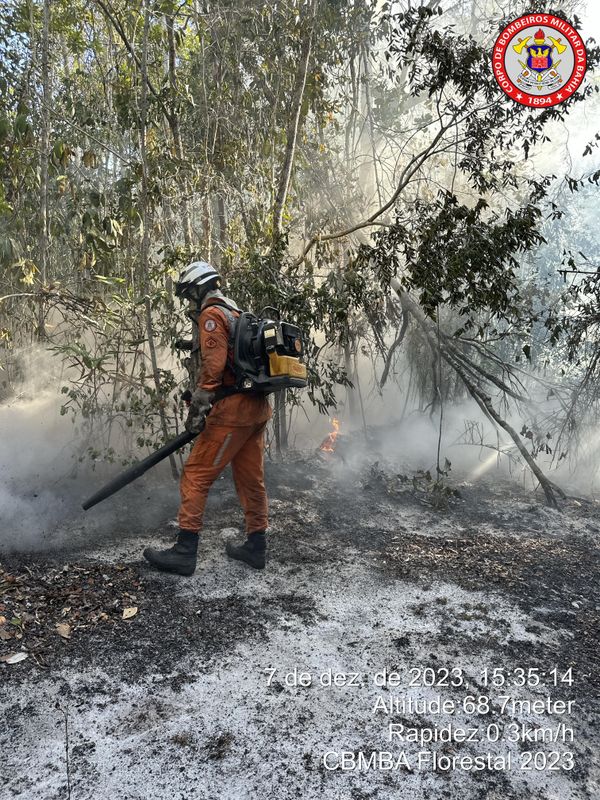 Incêndio Florestal
