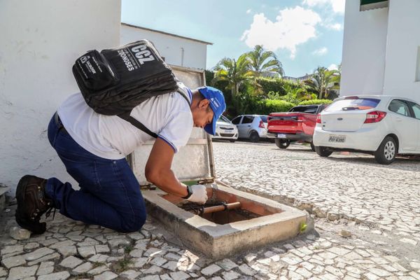 Mudanças climáticas podem agravar quadro de doenças como dengue e zika –  Mídia News Campo Grande