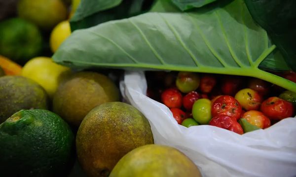 Frutas e folhas