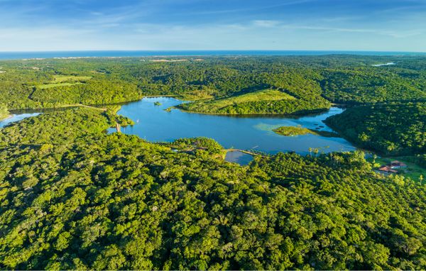 Área onde será construído o condomínio fazenda