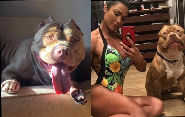 Gracyanne e o cachorro Thor