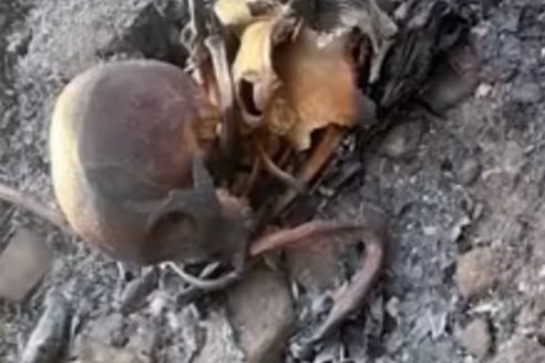 Uma ossada humana foi encontrada em um terreno em Feira de Santana
