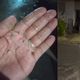 Imagem - Chuva de granizo atinge cidades baianas